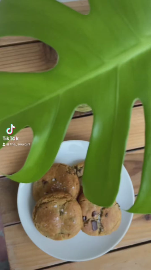 Sourdough Chocolate Chip Cookies